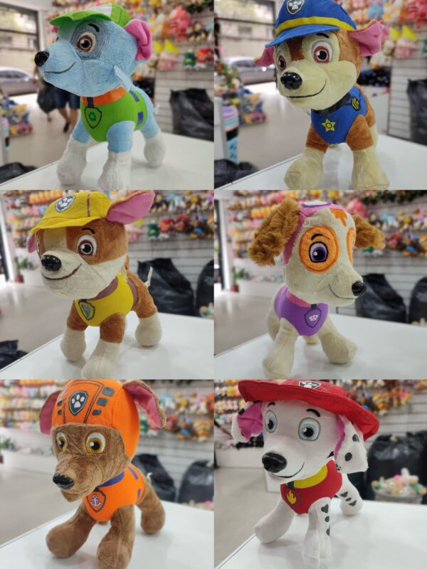 Paw Patrol Comun