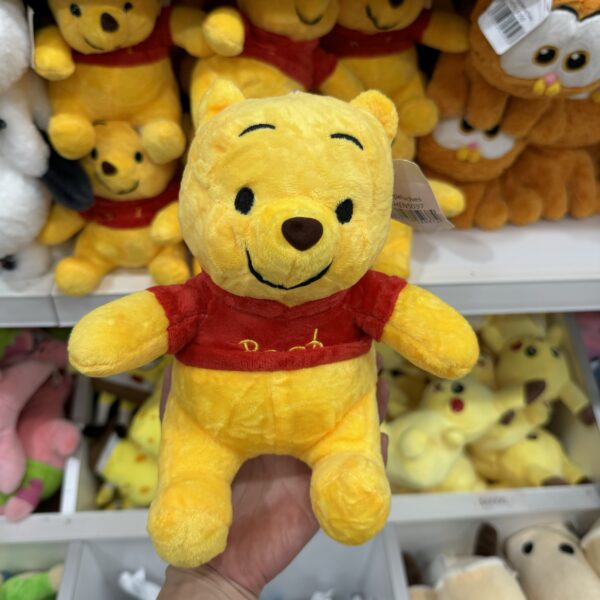 Winnie pool